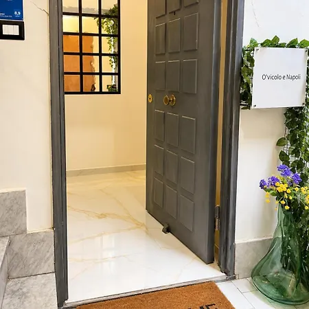 Nel Centro Storico O'vicolo E Apartment